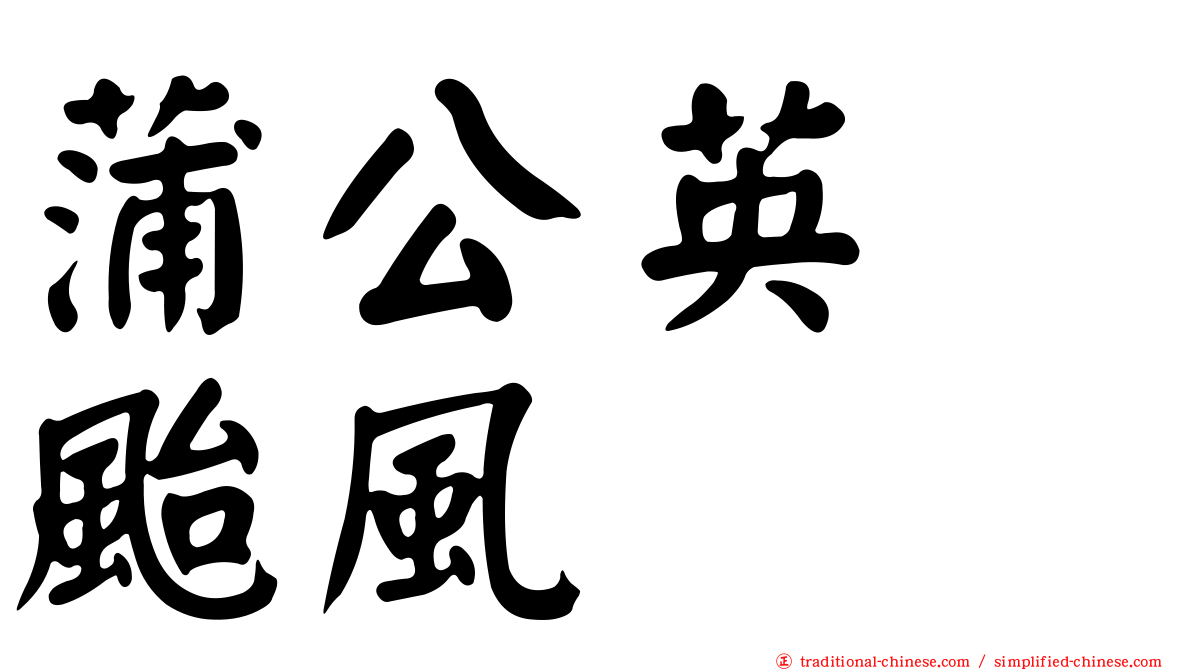 蒲公英　颱風